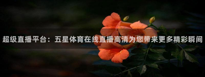178直播吧