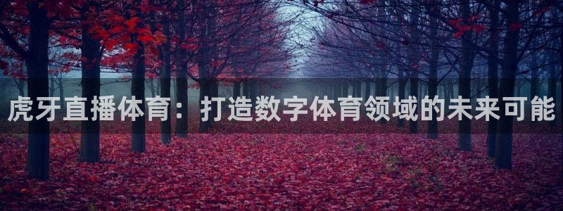 178直播nba篮球比赛免费观看