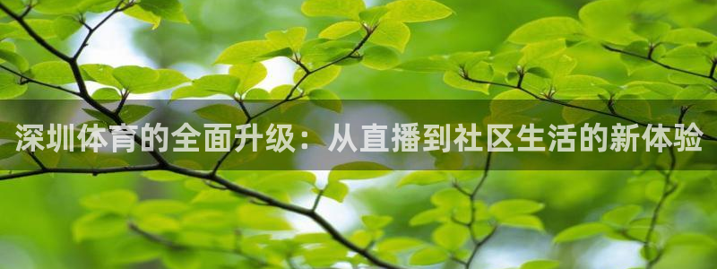 178直播免费足球直播