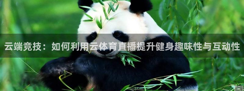 178直播五大联赛直播下载