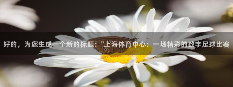 178直播体育赛事