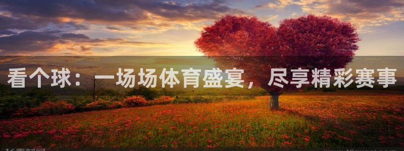 178直播吧：看个球：一场场体育盛宴，尽享精彩赛事