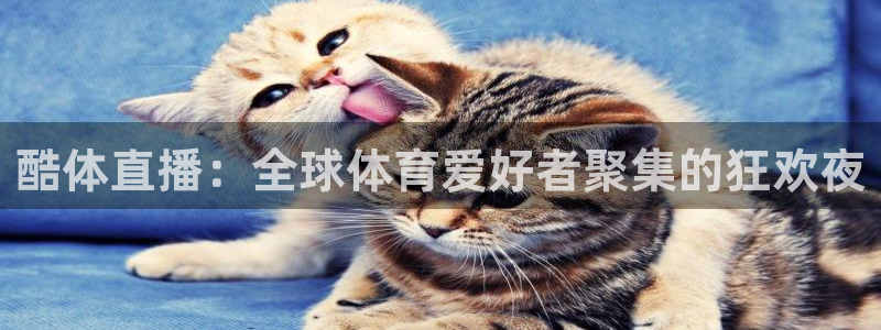 178直播足球赛事直播无插件：酷体直播：全球体育爱好者聚集的狂欢夜