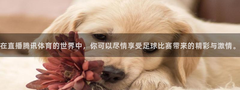 178直播体育nba：在直播腾讯体育的世界中，你可以尽情享受足球比赛带来的精彩与激情。