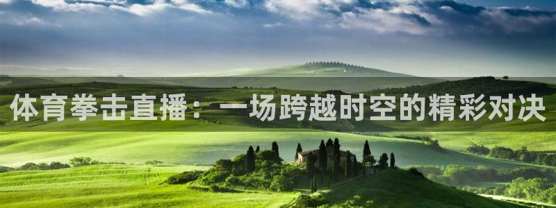 178直播在线观看：体育拳击直播：一场跨越时空的精彩对决