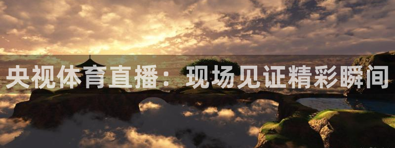 足球178直播在线观看免费：央视体育直播：现场见证精彩瞬间